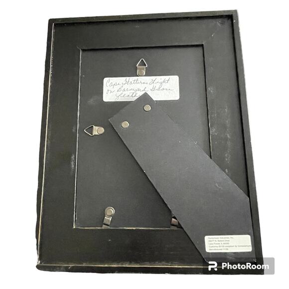 Hand Painted Cape Hatteras Light House Barnyard Goose Feather Framed Art - Picture 2 of 4